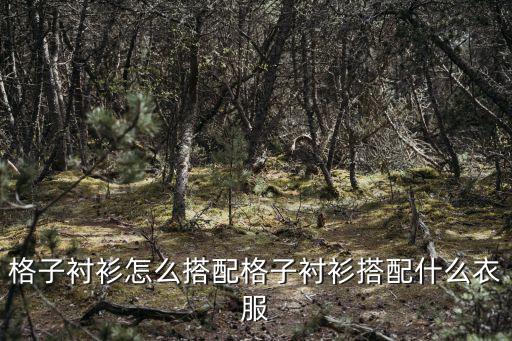 格子襯衫,格子襯衫怎么搭配好看?