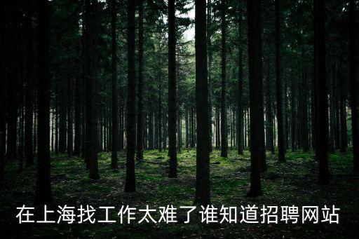 上海公共招聘網(wǎng)app，在上海找工作太難了誰知道招聘網(wǎng)站