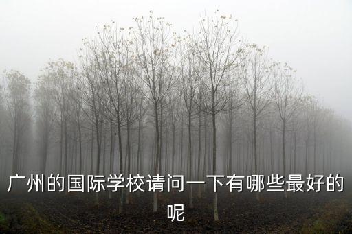 廣州十所最好國際學校，廣州國際學校哪所比較好