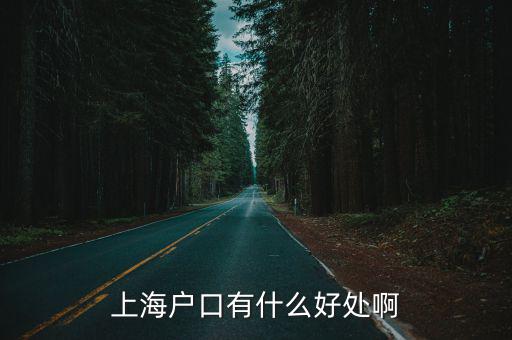 上海戶口有什么好處啊