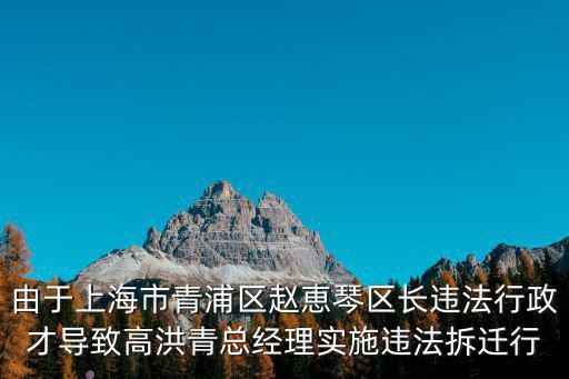 青浦區(qū)原區(qū)長(zhǎng)舉報(bào)，趙恵琴區(qū)長(zhǎng)利用上海市人民政府批復(fù)滬府201196號(hào)文精神進(jìn)行大