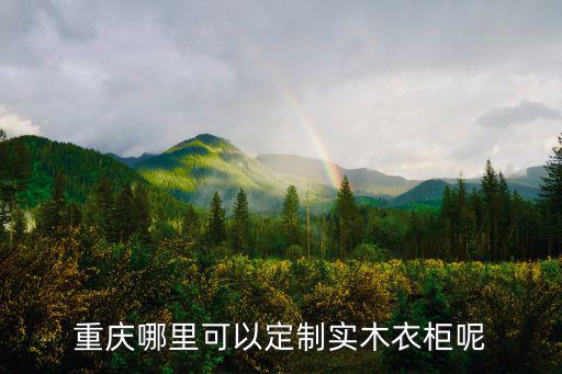 重慶市永創定制衣柜，重慶定制衣柜有哪些