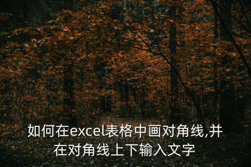 如何在excel表格中畫對角線,并在對角線上下輸入文字
