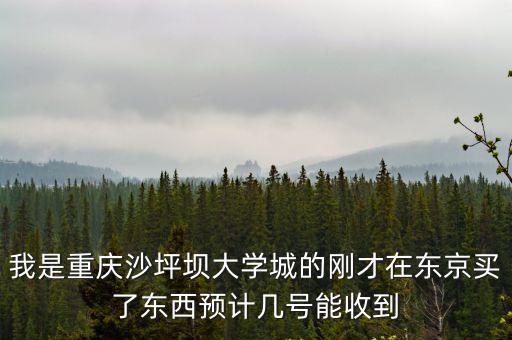 我是重慶沙坪壩大學城的剛才在東京買了東西預計幾號能收到