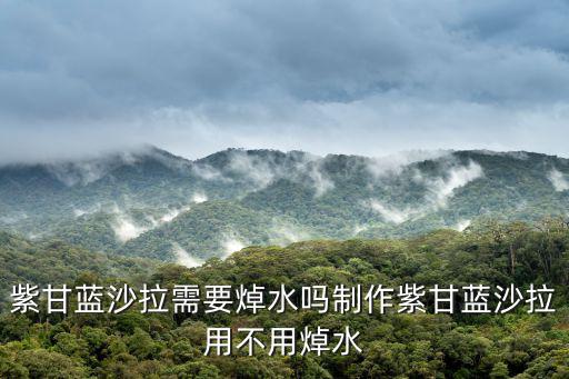 紫甘藍(lán)沙拉需要焯水嗎制作紫甘藍(lán)沙拉用不用焯水