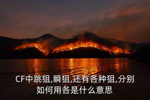 CF中跳狙,瞬狙,還有各種狙,分別如何用各是什么意思