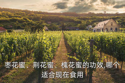 棗花蜜、荊花蜜、槐花蜜的功效,哪個適合現在食用