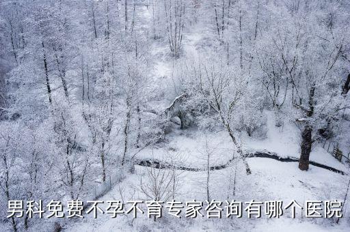 男科免費不孕不育專家咨詢有哪個醫院