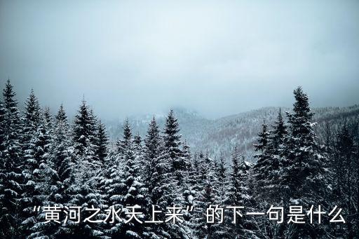 黃河之水天上來,黃河之水天上來下一句是奔流到海不復回