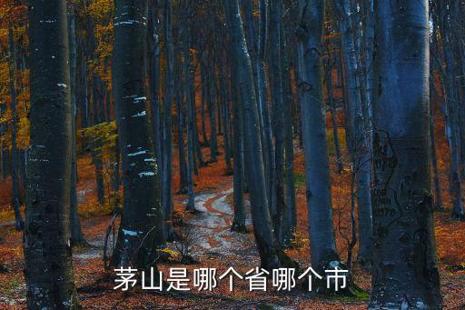茅山是哪個省哪個市