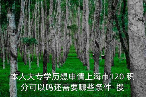 本人大專學(xué)歷想申請(qǐng)上海市120 積分可以嗎還需要哪些條件  搜