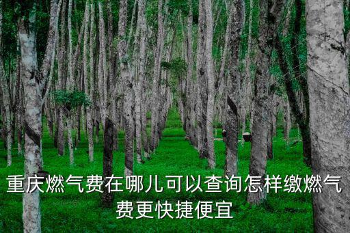 重慶燃氣費在哪兒可以查詢怎樣繳燃氣費更快捷便宜