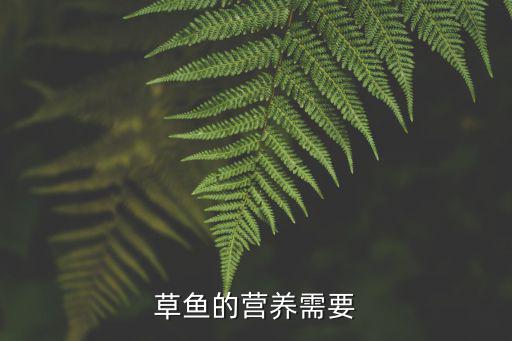 草魚的營養(yǎng)需要