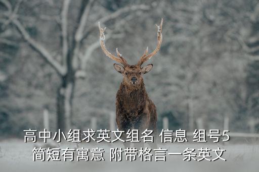 重慶市兩江中學高中英語組，重慶市兩江中學的學校校址