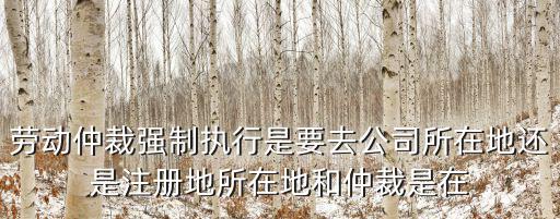 勞動仲裁強制執行是要去公司所在地還是注冊地所在地和仲裁是在