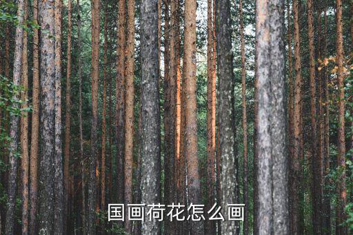 國畫荷花怎么畫