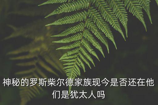 德系猶太人,納粹對有用的猶太人也是相當(dāng)慷慨