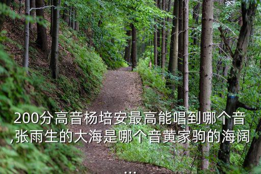200分高音楊培安最高能唱到哪個音,張雨生的大海是哪個音黃家駒的海闊...