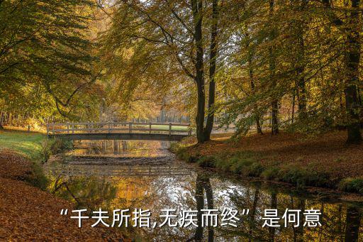 “千夫所指,無疾而終”是何意