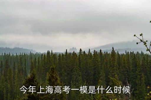 2019年上海市松江高三數(shù)學(xué)一模，今年上海高考一模是什么時(shí)候