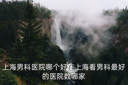 上海男科醫院，上海著名的男科醫院有哪些啊在上海看男科一般去哪家醫院呢推薦