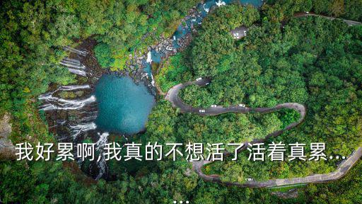 我好累啊,我真的不想活了活著真累……