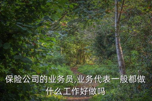 保險(xiǎn)公司的業(yè)務(wù)員,業(yè)務(wù)代表一般都做什么工作好做嗎