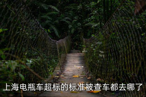 上海電瓶車超標的標準被查車都去哪了