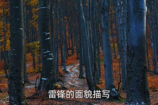雷鋒的面貌描寫