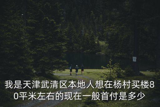 我是天津武清區本地人想在楊村買樓80平米左右的現在一般首付是多少