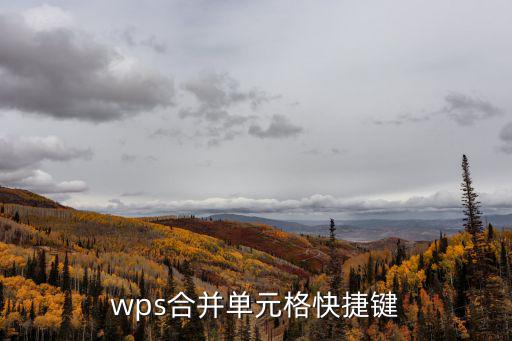 wps合并單元格快捷鍵