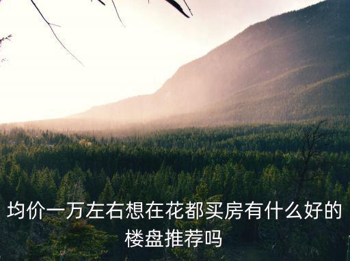 均價一萬左右想在花都買房有什么好的樓盤推薦嗎