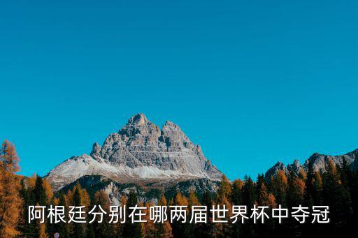 阿根廷分別在哪兩屆世界杯中奪冠