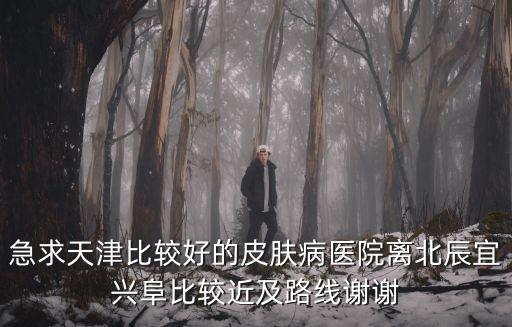 急求天津比較好的皮膚病醫(yī)院離北辰宜興阜比較近及路線謝謝