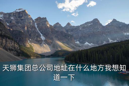 天獅集團總公司地址在什么地方我想知道一下