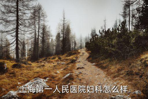 上海第一人民醫院婦科怎么樣