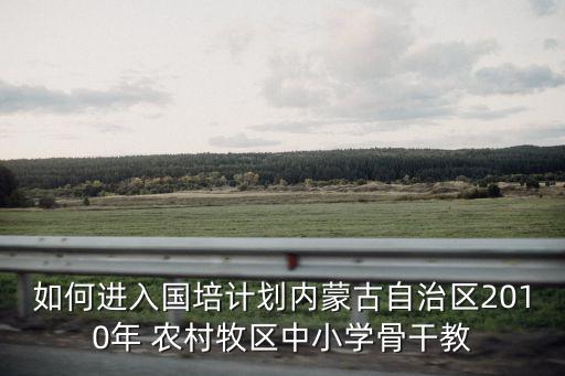 骨干教師培養計劃，如何進入國培計劃內蒙古自治區2010年 農村牧區中小學骨干教