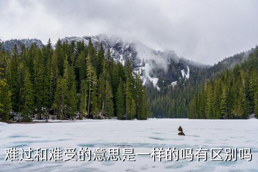 難過和難受的意思是一樣的嗎有區(qū)別嗎