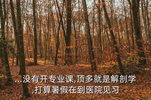 ...沒有開專業(yè)課,頂多就是解剖學(xué),打算暑假在到醫(yī)院見習(xí)