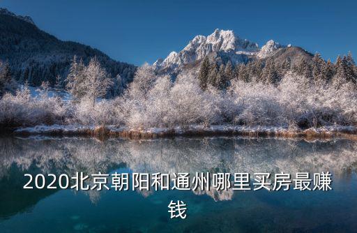 2020北京朝陽和通州哪里買房最賺錢
