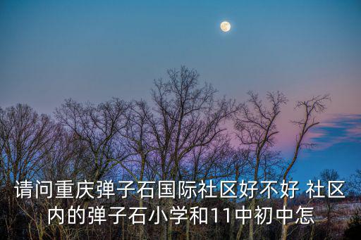 請問重慶彈子石國際社區(qū)好不好 社區(qū)內(nèi)的彈子石小學(xué)和11中初中怎
