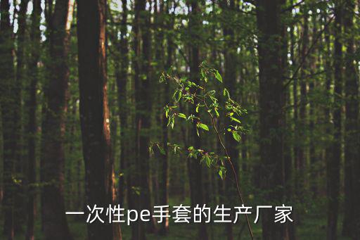 一次性pe手套的生產(chǎn)廠家