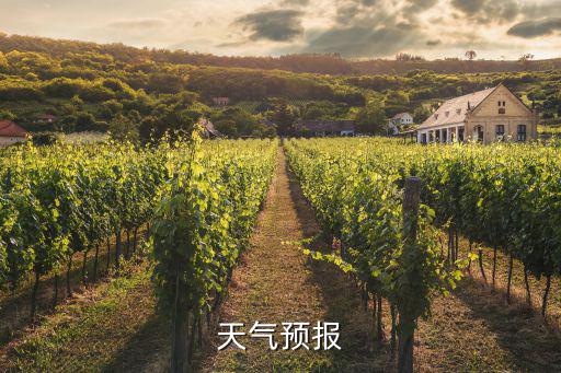 天氣預報