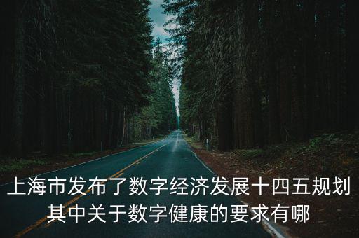 上海市發(fā)布了數(shù)字經(jīng)濟發(fā)展十四五規(guī)劃其中關于數(shù)字健康的要求有哪