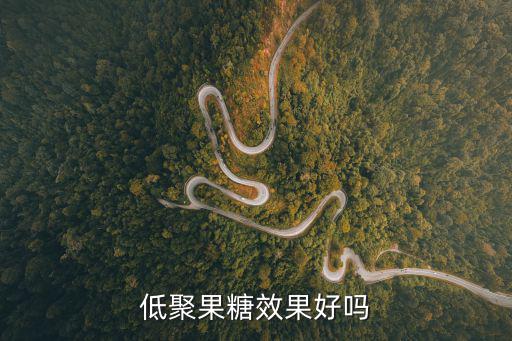 低聚果糖效果好嗎