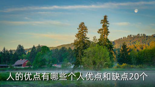 人的優點有哪些個人優點和缺點20個