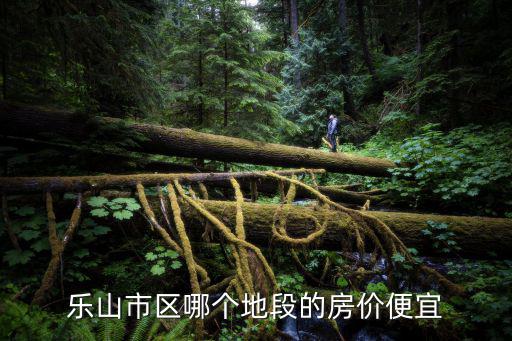 樂山市區哪個地段的房價便宜
