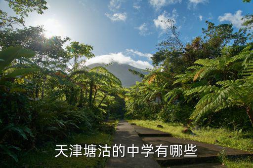 天津市塘沽區鄧善沽中學，這是天津塘沽哪所學校的校服