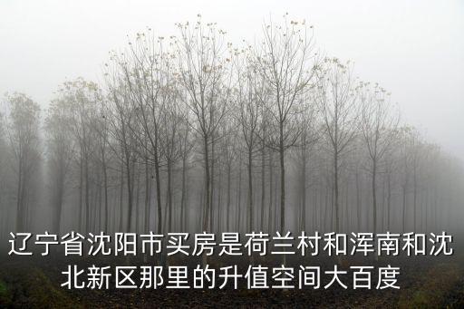 遼寧省沈陽市買房是荷蘭村和渾南和沈北新區(qū)那里的升值空間大百度