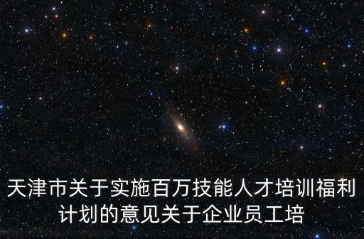 天津市關(guān)于實(shí)施百萬(wàn)技能人才培訓(xùn)福利計(jì)劃的意見(jiàn)關(guān)于企業(yè)員工培